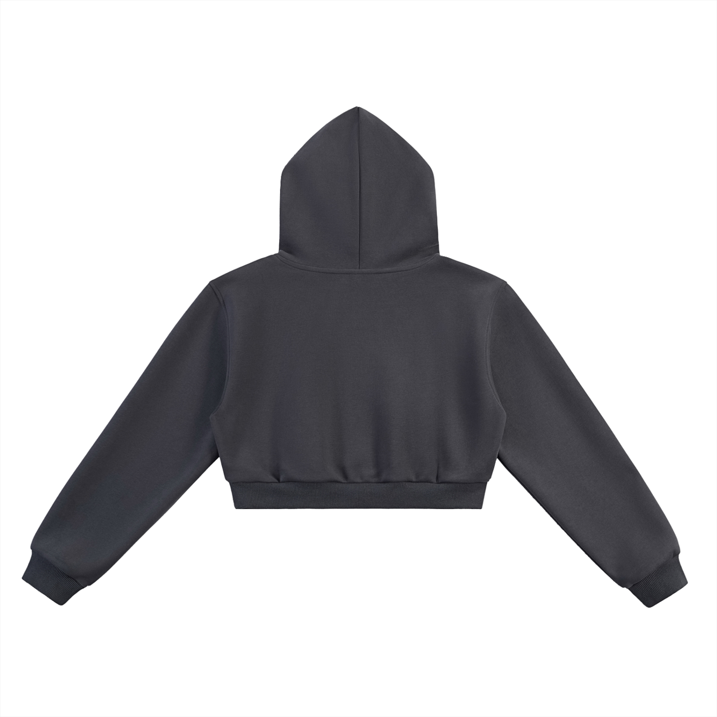 PLNTD "Acres" Women's Hoodie