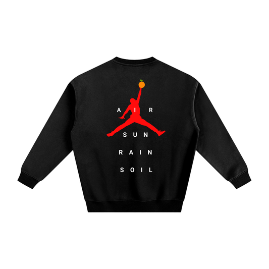 PLNTD "AIR+SUN+SOIL+AIR" Sweatshirt